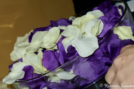 Rosen pflastern ihren Weg...